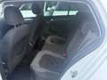 Volkswagen Golf Sky BMT 1,6 TDI DPF - thumbnail 8
