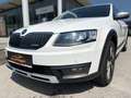 Skoda Octavia Combi 2,0 TDI 4x4 Scout DSG Weiß - thumbnail 2