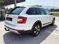 Skoda Octavia Combi 2,0 TDI 4x4 Scout DSG Weiß - thumbnail 6