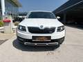 Skoda Octavia Combi 2,0 TDI 4x4 Scout DSG Weiß - thumbnail 3