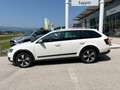 Skoda Octavia Combi 2,0 TDI 4x4 Scout DSG Weiß - thumbnail 12