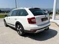 Skoda Octavia Combi 2,0 TDI 4x4 Scout DSG Weiß - thumbnail 7