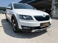 Skoda Octavia Combi 2,0 TDI 4x4 Scout DSG Weiß - thumbnail 4