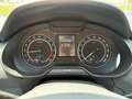 Skoda Octavia Combi 2,0 TDI 4x4 Scout DSG Weiß - thumbnail 22