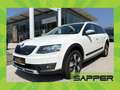 Skoda Octavia Combi 2,0 TDI 4x4 Scout DSG Weiß - thumbnail 1