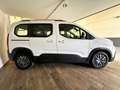 Peugeot Rifter 1.5BlueHDi S&S Long Style 130 Blanco - thumbnail 3