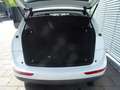 Audi Q5 2.0 TDI  quattro-Euro 6! Wit - thumbnail 14