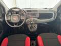 Fiat Panda 1.2 69cv E6 Pop Arancione - thumbnail 8