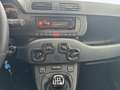 Fiat Panda 1.2 69cv E6 Pop Arancione - thumbnail 18