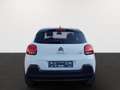 Citroen C3 C3 Shine Pack Weiß - thumbnail 5