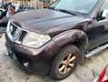 Nissan Navara doppiacabina Marrone - thumbnail 2