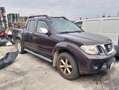 Nissan Navara doppiacabina Marrone - thumbnail 1