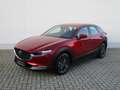 Mazda CX-30 2.5l (140PS) Prime-line Navi Kamera Voll-LED 2025 Weiß - thumbnail 3