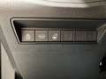 Toyota Proace City 1.2 110 CV PC 5p. Executive Trasporto Disabili 4+1 Grigio - thumbnail 11