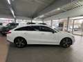 Mercedes-Benz CLA 220 CLA 220d SB 4M Progressive VIELE EXTRA PAKETE Weiß - thumbnail 10