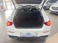 Mercedes-Benz CLA 220 CLA 220d SB 4M Progressive VIELE EXTRA PAKETE Weiß - thumbnail 13