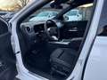 Mercedes-Benz B 180 d Österreich-Edition Cam PTS Navi AUT Wide Weiß - thumbnail 10