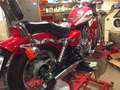 Honda CA 125 Rebel JC 26 Czerwony - thumbnail 5