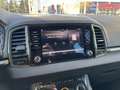 Skoda Karoq 1.0 TSI - 116 - AMBITION Weiß - thumbnail 16
