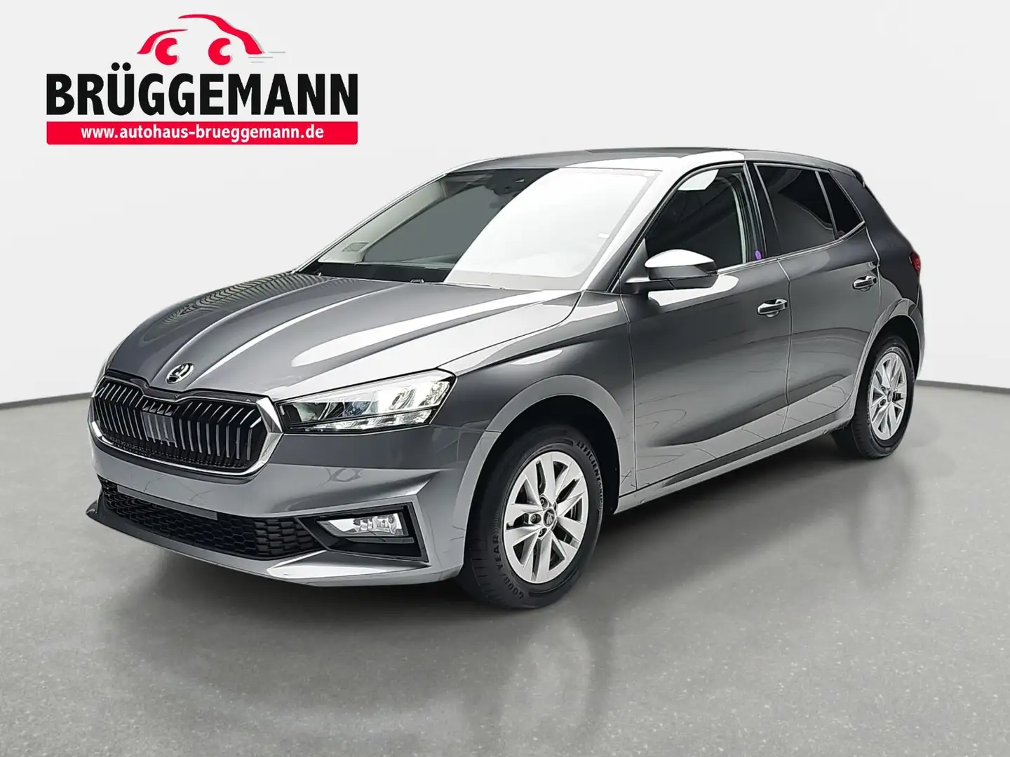 Skoda Fabia FABIA 1.0 TSI DSG SELECTION LED AUDIOSYSTEM SICHT Szürke - 1