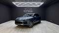 Porsche Cayenne E-Hybrid Groen - thumbnail 1