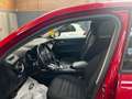 Alfa Romeo Stelvio Stelvio 2.2 Turbodiesel 160 CV AT8 RWD Business Rosso - thumbnail 14