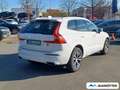 Volvo XC60 T6 AWD Inscription Expression Recharge BLIS Blanc - thumbnail 3