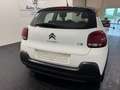 Citroen C3 PureTech 82 Shine Bianco - thumbnail 6
