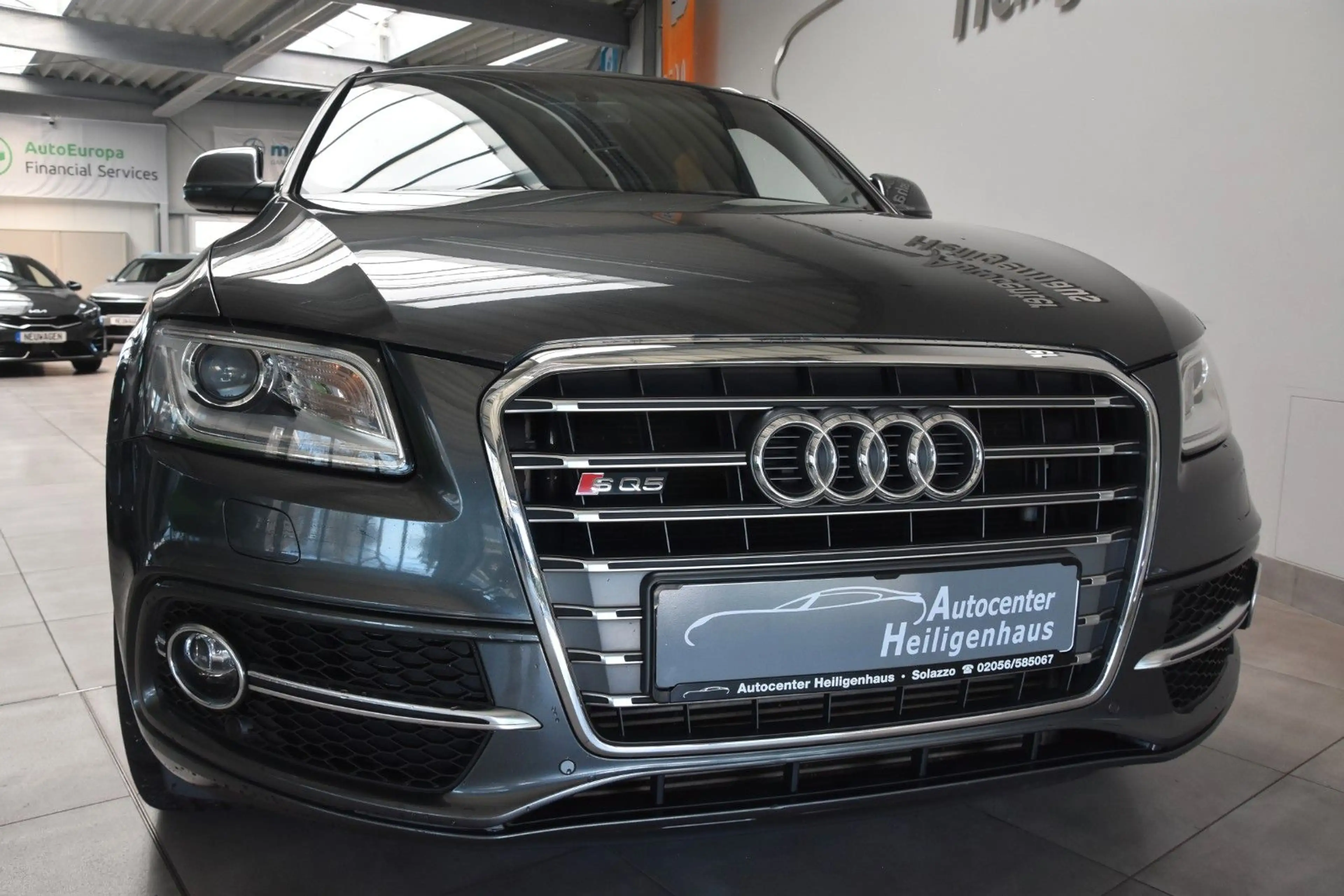 Audi SQ5 3.0 TDI quattro 1.Hd Alcantara Navi Standhzg