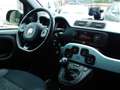 Fiat Panda 1.0 Hybrid Launch Edition Vert - thumbnail 9