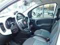 Fiat Panda 1.0 Hybrid Launch Edition Vert - thumbnail 8