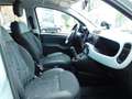 Fiat Panda 1.0 Hybrid Launch Edition Vert - thumbnail 12