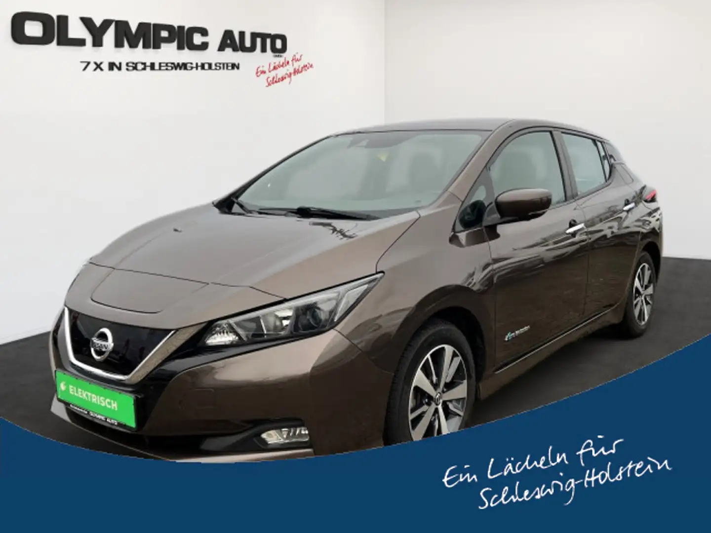 Nissan Leaf 40kWh Acenta NAVI KAMERA SITZHEIZ LENKRADHZ smeđa - 1