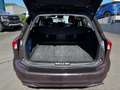 Ford Focus 1.5 EcoBoost Vignale Turnier Aut. LED/PSD Violett - thumbnail 13