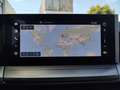 Opel Frontera Edition Hybrid Allwetter Winterpaket Grau - thumbnail 14