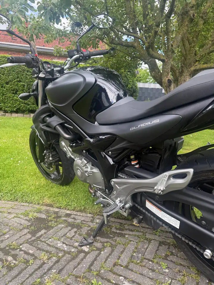Suzuki Gladius 650