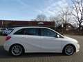 Mercedes-Benz B 180 CDI BE Sport-Paket Park-Lenk Navi PTS Weiß - thumbnail 12