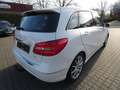 Mercedes-Benz B 180 CDI BE Sport-Paket Park-Lenk Navi PTS Weiß - thumbnail 9