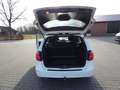 Mercedes-Benz B 180 CDI BE Sport-Paket Park-Lenk Navi PTS Weiß - thumbnail 7