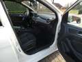 Mercedes-Benz B 180 CDI BE Sport-Paket Park-Lenk Navi PTS Weiß - thumbnail 11