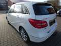 Mercedes-Benz B 180 CDI BE Sport-Paket Park-Lenk Navi PTS Weiß - thumbnail 5