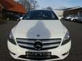 Mercedes-Benz B 180 CDI BE Sport-Paket Park-Lenk Navi PTS Weiß - thumbnail 14
