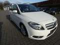 Mercedes-Benz B 180 CDI BE Sport-Paket Park-Lenk Navi PTS Weiß - thumbnail 13