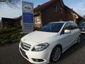 Mercedes-Benz B 180 CDI BE Sport-Paket Park-Lenk Navi PTS Weiß - thumbnail 1