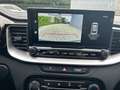Kia Ceed SW / cee'd SW Ceed SW 1.0 T-GDI  Vision RÜCKFAHRKAMERA+SHZ Verde - thumbnail 14