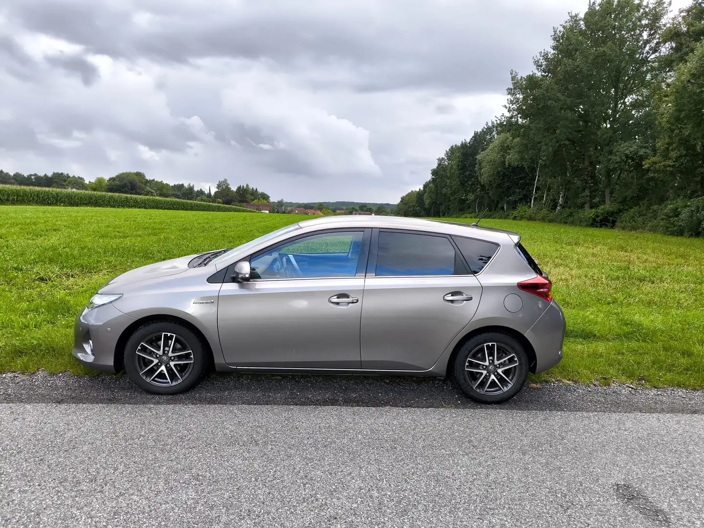 Toyota Auris Hybrid Edition Brown - 1