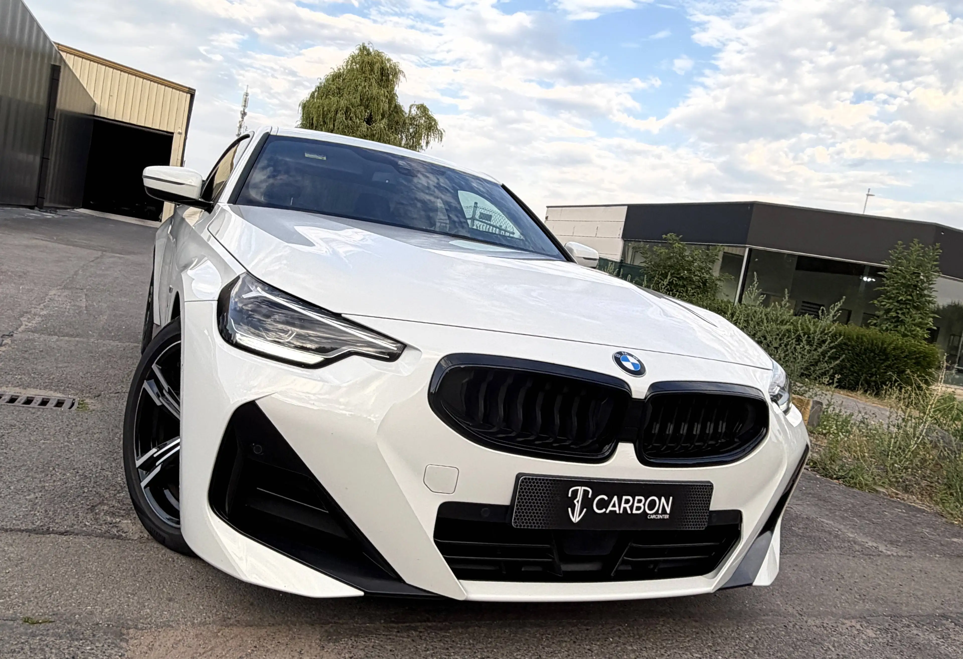 BMW 220 dAS Coupé Pack SPORT M CUIR-ALCANTARA/COCKPIT/LED/SHADOW LINE/CAMERA/1er PROPRIO/HISTO COMPLET — photo 7