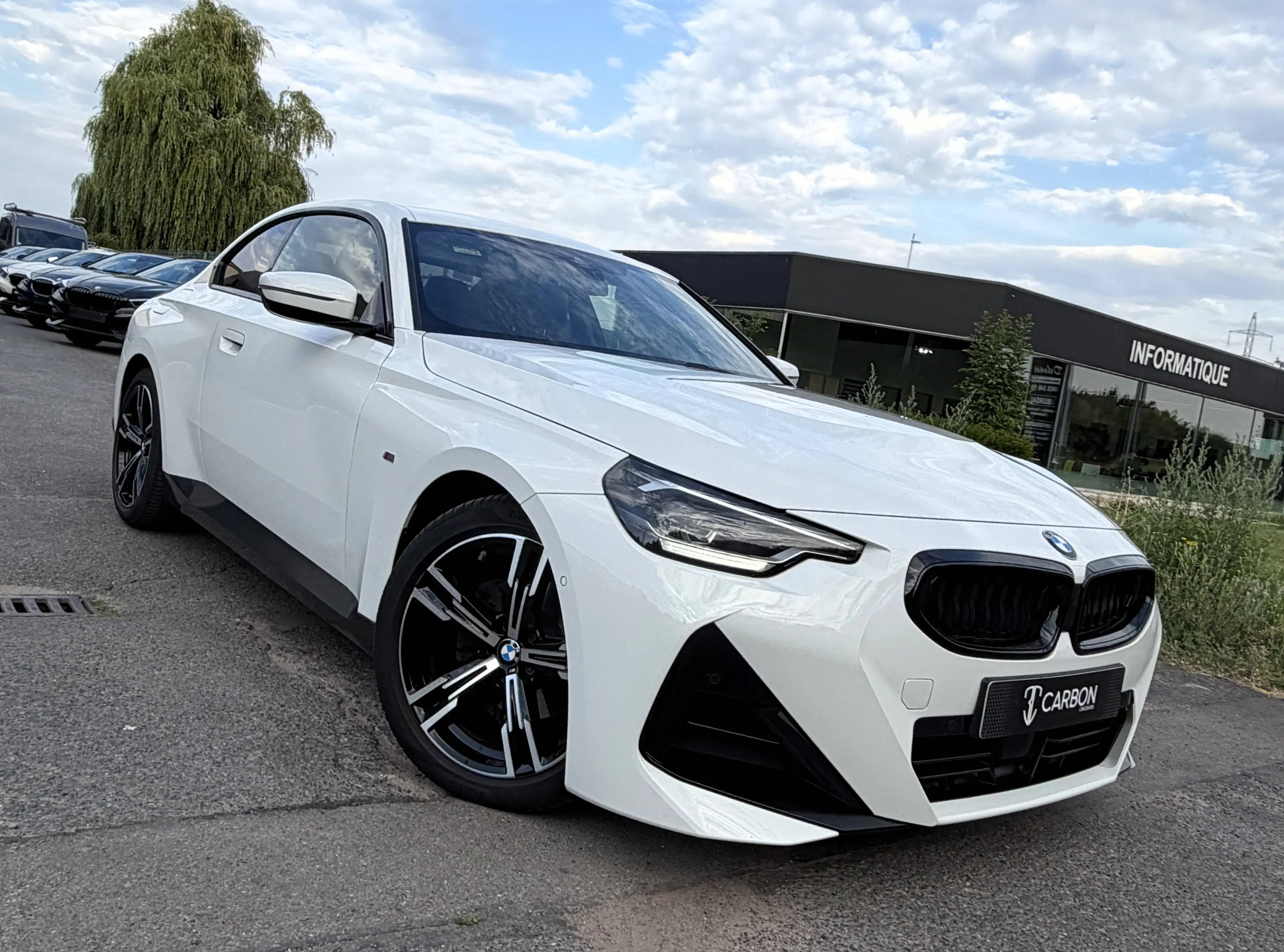 BMW 220 dAS Coupé Pack SPORT M CUIR-ALCANTARA/COCKPIT/LED/SHADOW LINE/CAMERA/1er PROPRIO/HISTO COMPLET — photo 8