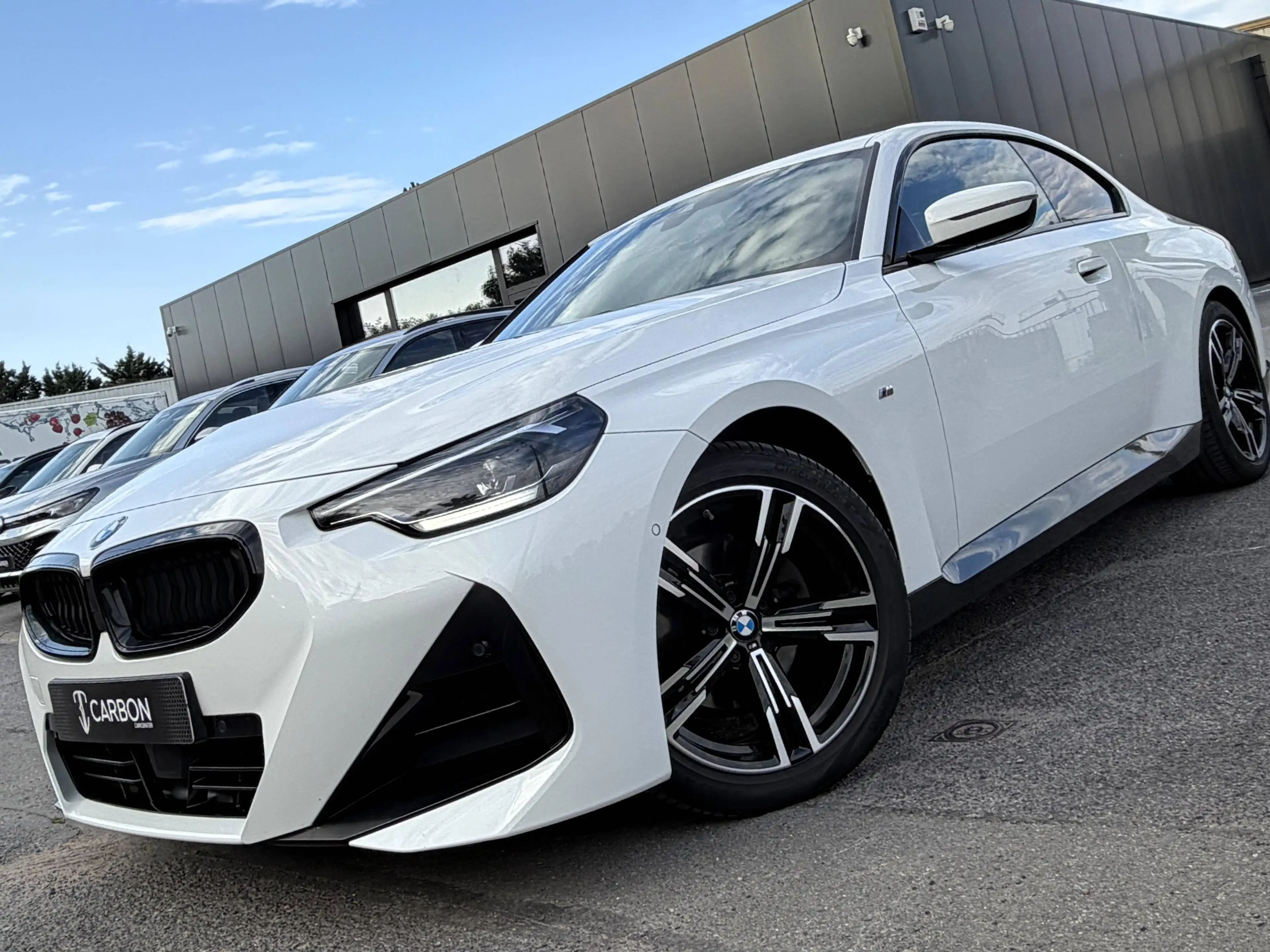 BMW 220 dAS Coupé Pack SPORT M CUIR-ALCANTARA/COCKPIT/LED/SHADOW LINE/CAMERA/1er PROPRIO/HISTO COMPLET — photo 3