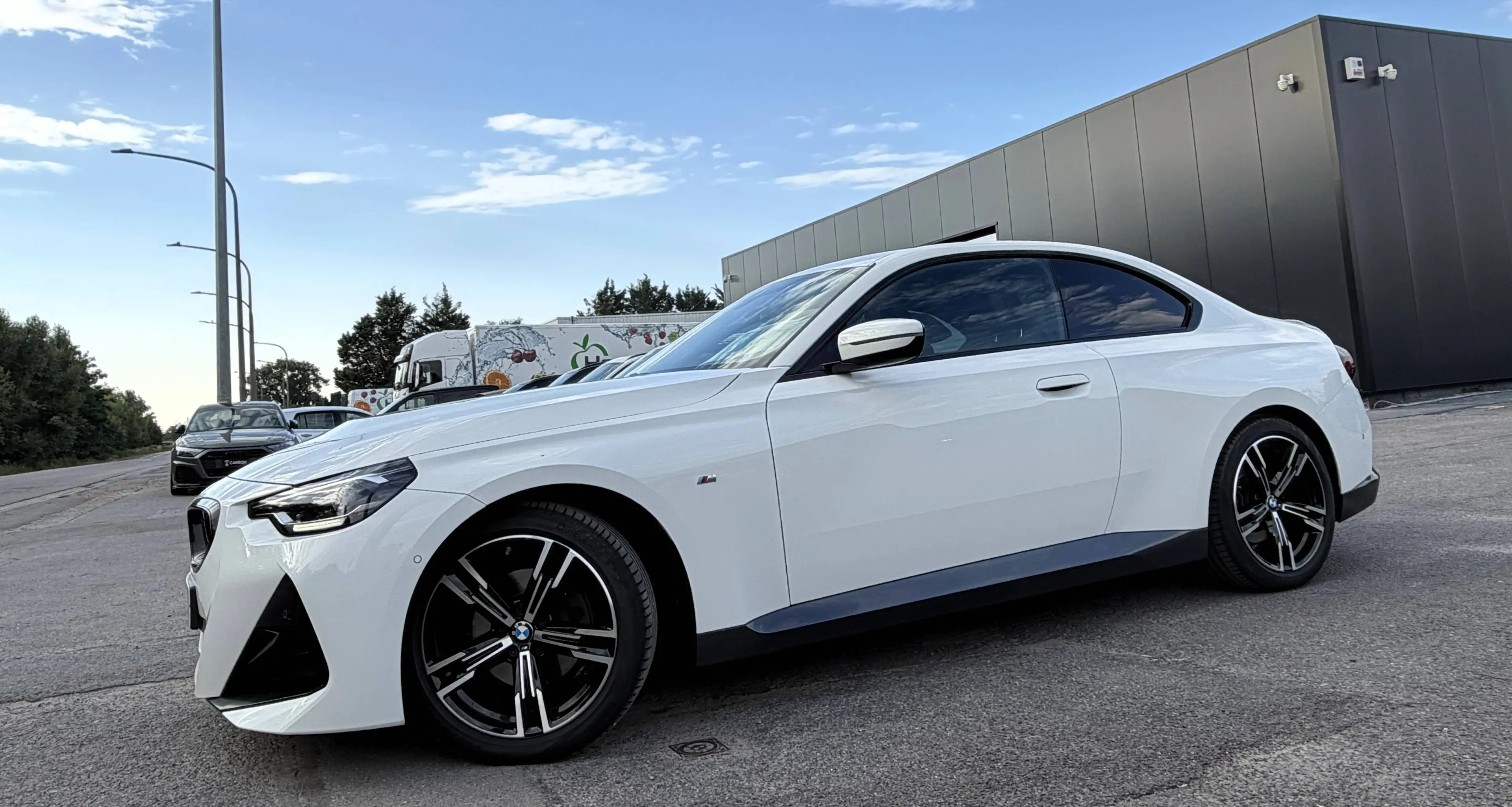 BMW 220 dAS Coupé Pack SPORT M CUIR-ALCANTARA/COCKPIT/LED/SHADOW LINE/CAMERA/1er PROPRIO/HISTO COMPLET — photo 4